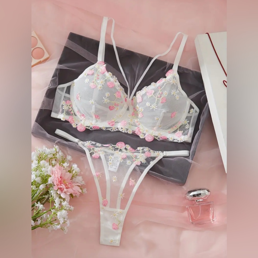 Gigi Angelic White & Pink Floral Embroidered Mesh Lingerie Bra + Panty Thong Set